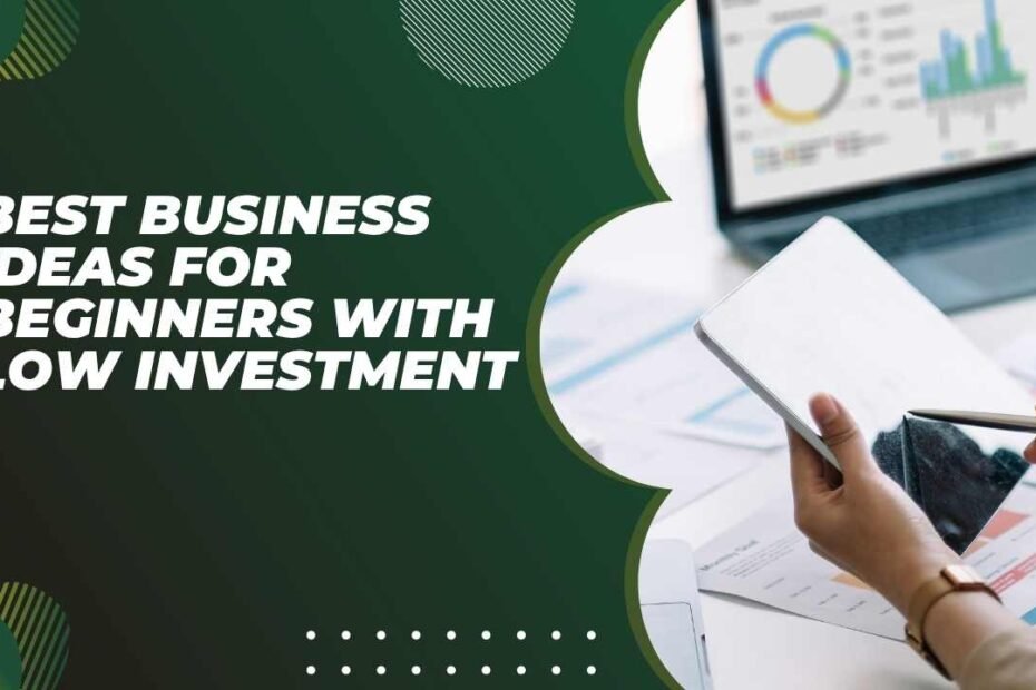 Best Business Ideas for Beginners with Low Investment